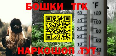индика Ирбит