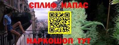 индика Ирбит