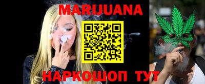 индика Ирбит