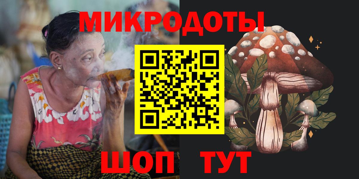 Псилоцибиновые грибы Psilocybe Кушва
